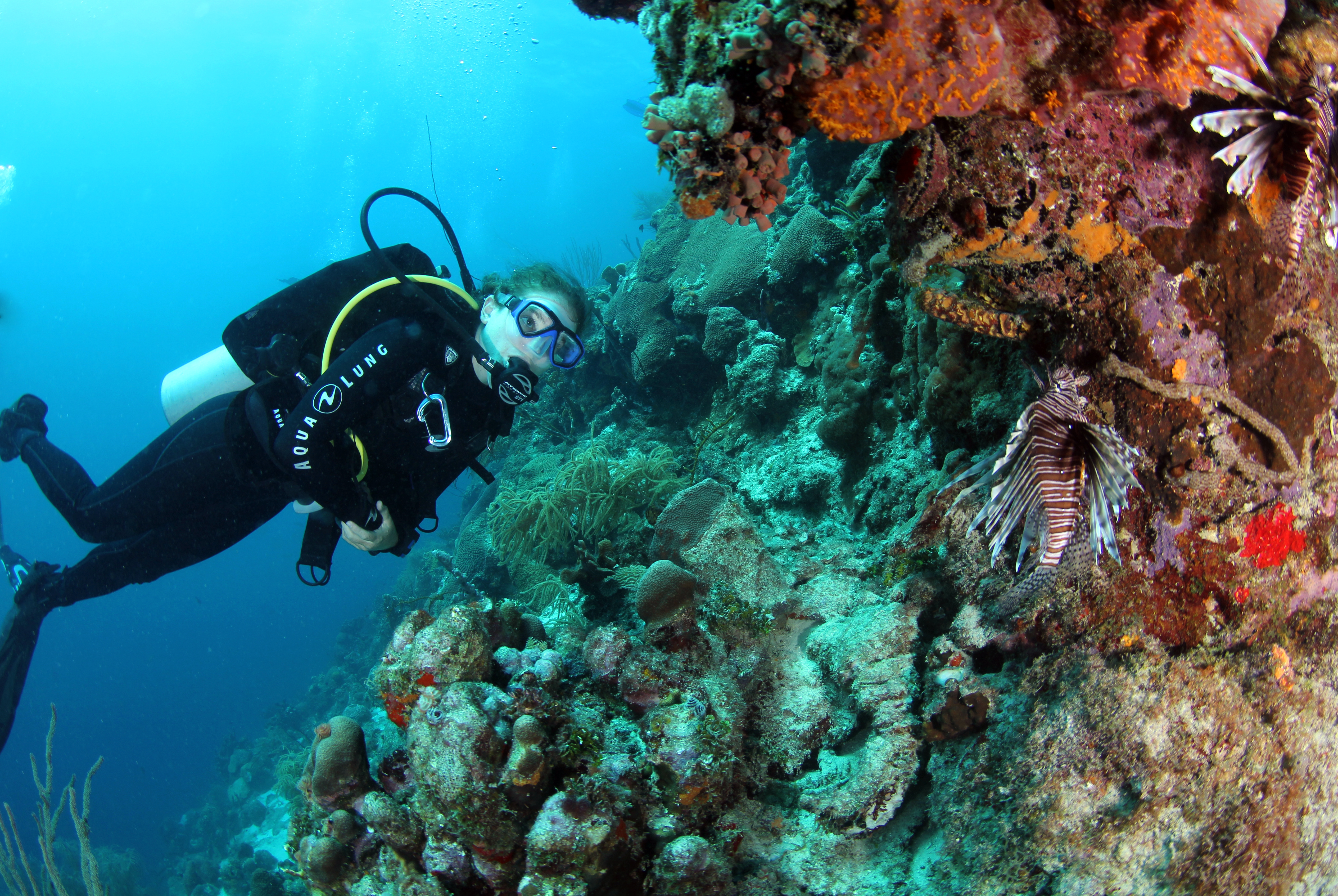 Amelia SCUBA diving looking at invasive lionfish on a Caribbean reef